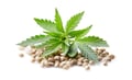 Hemp