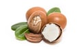 Shea Oil & Butter