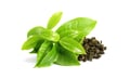 green tea