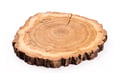 Pine phloem