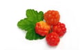 Cloudberry