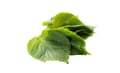 Perilla
