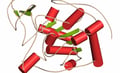 Sirtuin complex