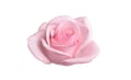 Rose oil