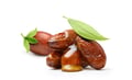 Jojoba