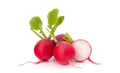 Radish