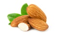 Sweet almond