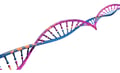 Hydrolyzed RNA & Hydrolyzed DNA