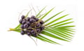 Acai