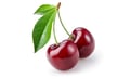 Cherry